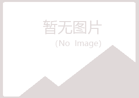 偃师雅琴化学有限公司